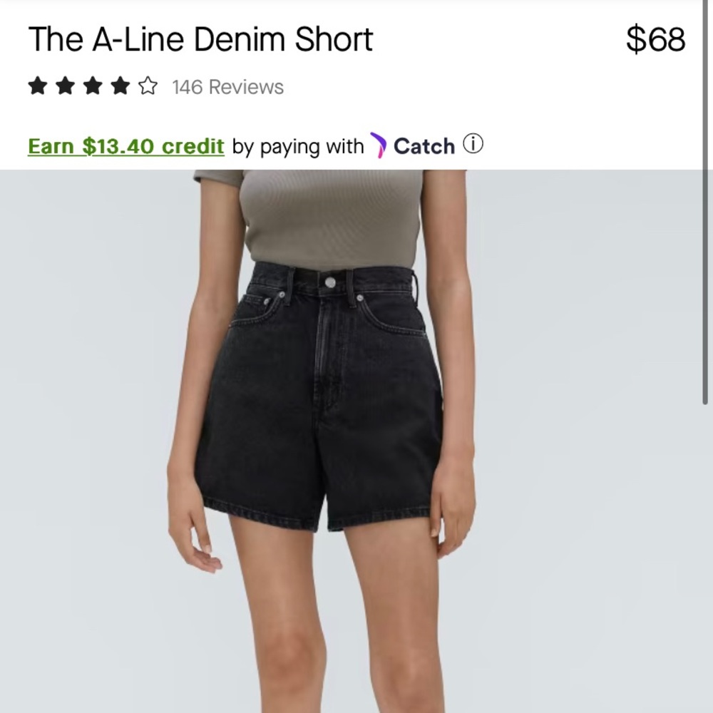 Everlane The A Line Denim Short in Storm Black NEW Size 33